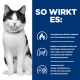 Schwarz-weiße Katze mit blauem Halsband links; rechts ein blaues Feld mit der Überschrift „SO WIRKT ES:“ mit drei Symbolen und deutschem Text