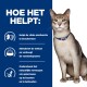 Een gezonde kat in een blauwe halsband zit tegen een witte achtergrond, met tekst over voordelen: nierbescherming, eetluststimulatie, spierondersteuning.