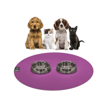 Eine lila Haustiermatte mit zwei Edelstahlschüsseln steht im Vordergrund, während ein Hund, ein Kätzchen und eine schwarze Katze dahinter sitzen.