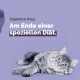 Eine flauschige graue Katze mit blauen Augen liegt auf einem lila Hintergrund, begleitet von dem Text 'Verdauungshilfe Am Ende einer speziellen Diät.'