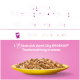 Gelbe Schüssel mit trockenem Katzenfutter auf lila Hintergrund mit Fütterungsempfehlungen für 3 kg, 4 kg und 5 kg Katzen.