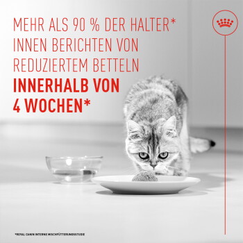 Grau getigerte Katze schnuppert am Futter auf einem Teller mit Wassernapf; roter deutscher Text: 'Mehr als 90 % ... innerhalb von 4 Wochen*'