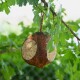 Ein natürlicher Vogelfutterspender aus einer Kokosnussschale, hängt von einem Ast umgeben von grünen Blättern.