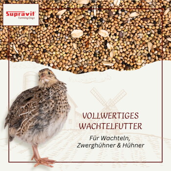 Wachtelfutter-Mischung mit Körnern und Samen, auf Deutsch beschriftet mit Zutaten wie Plathirse, rote Hirse und Leinsamen.