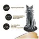 Graue Katze auf dunklem Hintergrund mit Text: "Supplement," "Mit feinen Fischfilets," "Keine künstlichen Farben oder Konservierungsstoffe."