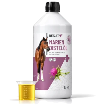 Flasche mit REAVET Marien Distelöl für den Stoffwechsel und die Leberfunktion von Pferden, mit einem Messbecher Öl daneben.