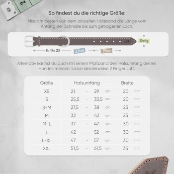 gefüttertes Halsband aus Leder XS