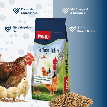 Ein Haufen gemischter Vogelfutter mit verschiedenen Samen, Körnern und Pellets, vor einem weißen Hintergrund.