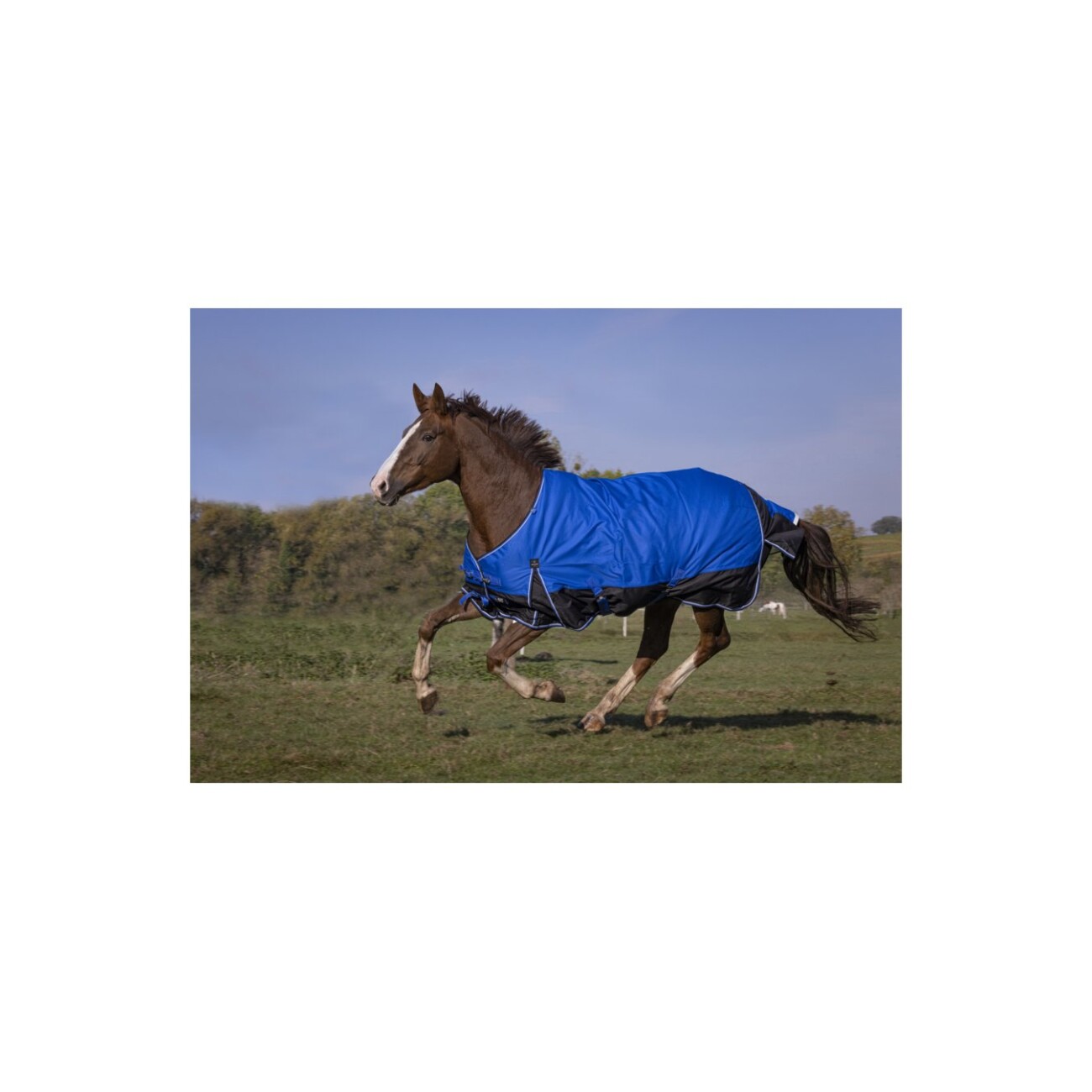 Germany product data sample: Equitheme Regendecke Aisance 0 g 1,65 m