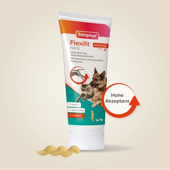 Beaphar Flexifit Snacks Hund und Katze Paste 250 g