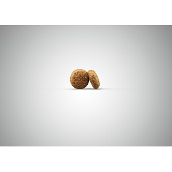 Zwei runde, strukturierte Stücke Haustierfutter auf einem hellgrauen Hintergrund.