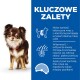 Brązowy i biały Chihuahua z czerwoną obrożą stoi na białym tle, podkreślając kluczowe korzyści dla zdrowia i kontroli wagi.