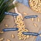 Eine Holzschaufel mit rohen Erdnüssen auf Jute, gekennzeichnet mit "energizing", "vitaminreich", "natürlich" und "reich an Ballaststoffen."