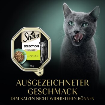 Eine graue Katze leckt sich die Lippen neben einer Sheba Katzenfutterpackung mit der Aufschrift "Selection in Sauce mit Kaninchen."