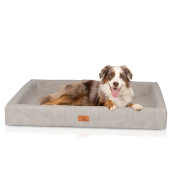 Ein glücklicher Australian Shepherd Hund liegt auf einem grauen Haustierbett mit einer lederähnlichen Textur und einem kleinen Logosticker.