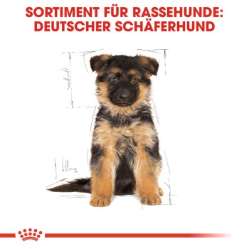 Ein deutscher Schäferhund-Welpe mit einem flauschigen schwarz-braunen Fell schaut den Betrachter an, mit dem Text darüber: "SORTIMENT FÜR RASSEHUNDE."