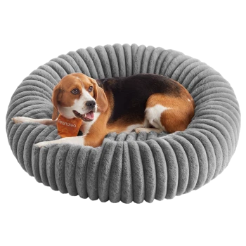 Beagle liegt auf einem runden, grauen, plüschigen Haustierbett mit gerippter Textur und hält ein orangefarbenes Spielzeug im Maul.