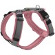 Rotes und graues verstellbares Hundegeschirr mit gepolsterten Riemen und einem Metall-D-Ring zur Leinenbefestigung.