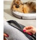 Ein flauschiger Pomeranian entspannt sich auf einem runden Haustierbett mit weißem Innenraum. Eine Hand öffnet den Reißverschluss für eine einfache Reinigung.