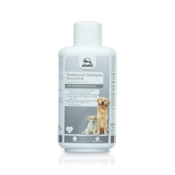 Teebaumöl-Shampoo für Hunde, empfohlen von Tierärzten, in einer weißen Flasche. Enthält natürliche Inhaltsstoffe zur Haut- und Fellpflege.
