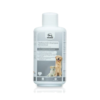 Teebaumöl-Shampoo für Hunde, empfohlen von Tierärzten, in einer weißen Flasche. Enthält natürliche Inhaltsstoffe zur Haut- und Fellpflege.