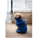 Ein kleiner, lockiger Hund in einem engen blauen Haustiermantel sitzt auf einem gewebten Teppich und schaut neugierig in die Kamera.