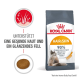 Royal Canin Hair & Skin Katzenfutterbeutel, mit einem Katzenbild, das behauptet, gesunde Haut und glänzendes Fell zu unterstützen, mit 90% Zufriedenheit der Besitzer.
