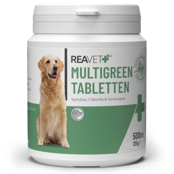 Behälter mit REAVET Multigreen Tabletten für Hunde, mit den Inhaltsstoffen Spirulina, Chlorella und Gerstengras, mit einem grünen und weißen Design.