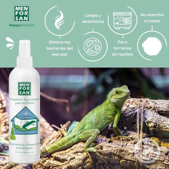 Eine grüne Eidechse sitzt auf einem Ast neben einer Sprühflasche mit der Aufschrift "MEN FOR SAN" zur Terrarienreinigung.