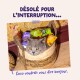 Chat gris aux yeux ambrés regardant depuis un panier tressé parmi des sachets de nourriture pour animaux ; textes visibles : « DÉSOLÉ POUR L'INTERRUPTION... » et « Coco voudrait vous dire bonjour. »