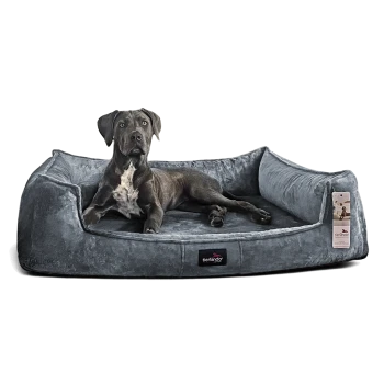 Schwarzer Hund mit verdecktem Gesicht liegt auf grauem, veloursartigem Bolster-Hundebett mit vorderem „tierlando“-Label und Produktanhänger