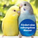 Zwei Wellensittiche, gelb und blau, kuscheln vor einem verschwommenen grünen Hintergrund mit einem blauen Kreis, der sagt "Fördert eine reibungslose Mauser."