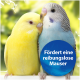 Zwei Wellensittiche, gelb und blau, kuscheln vor einem verschwommenen grünen Hintergrund mit einem blauen Kreis, der sagt "Fördert eine reibungslose Mauser."