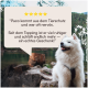 Weißer flauschiger Hund sitzt auf Felsen an einem See mit einer 5-Sterne-Bewertung auf Deutsch, die verbesserte Ruhe und Schlaf lobt.