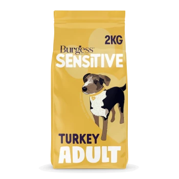 Gelbe 2-kg-Tüte Burgess Sensitive Turkey Adult Hundefutter mit Hund-Illustration und sichtbarem Text 'SENSITIVE', 'TURKEY', 'ADULT'.