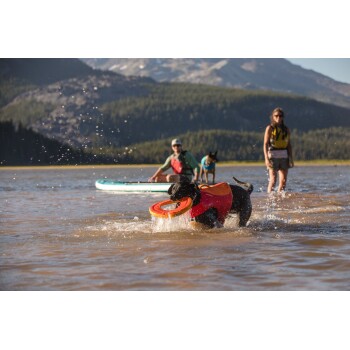 Ein schwarzer Hund, der eine rote Schwimmweste trägt, spritzt im Wasser, während er mit einem orangefarbenen Frisbee spielt. Im Hintergrund sind zwei Personen und ein weiterer Hund zu sehen.