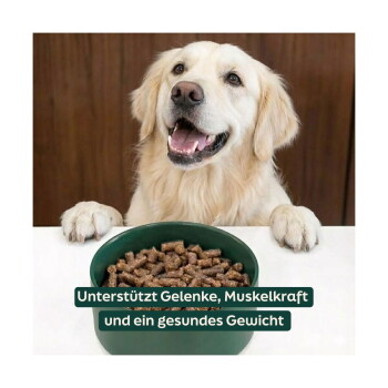 Golden Retriever lehnt sich am Tisch an mit einer Schüssel Kibble; Einblendung: ‚Unterstützt Gelenke, Muskelkraft und ein gesundes Gewicht‘