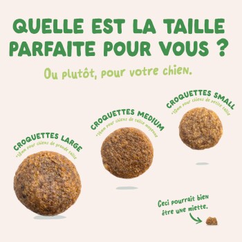 Trois tailles de croquettes sous le titre « Quelle est la taille parfaite pour vous ? » Étiquettes : Grande 18 mm, Moyenne 14 mm, Petite 10 mm.