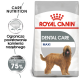 Torba z karmą dla psów Royal Canin Dental Care Maxi z ilustracją puszystego psa, z tekstem w języku polskim o redukcji powstawania kamienia nazębnego o nawet 75%.