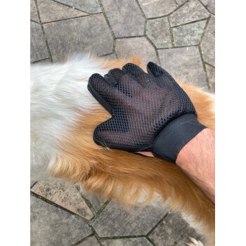 Eine Hand mit einem schwarzen Pflegehandschuh streichelt sanft das Fell eines Hundes und zeigt eine Mischung aus goldenem und weißem Haar auf einer Steinoberfläche.