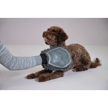 Brauner, lockiger Hund liegt, während der Besitzer ein graues Silikon-Pflegehandschuh mit Mikrofaserfransen verwendet, um sein Fell zu bürsten.