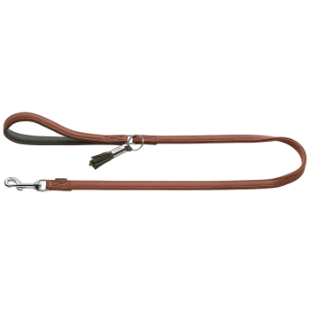 Braune Leder-Hundeleine mit gepolstertem, grün gefüttertem Griff, silbernem Drehkarabiner und Quastenanhänger mit Metallplakette.