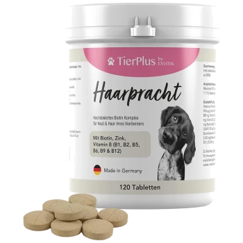 Behälter von TierPlus Haarpracht, einem Biotin-Komplex für die Haut- und Fellgesundheit von Haustieren, mit angezeigten Tabletten, hergestellt in Deutschland.