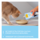 Beige Katze schnuppert an einem Napf, während Milch aus einem Beutel eingefüllt wird; blaues Feld zeigt deutschen Text über zusätzliche Kalzium- und Flüssigkeitszufuhr