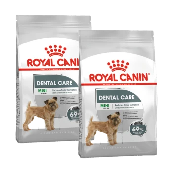 Zwei Beutel Royal Canin Dental Care Hundefutter für Mini-Rassen, mit einem kleinen Hund auf der Verpackung und Text, der die Zahnsteinreduzierung hervorhebt.