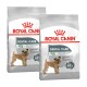 Zwei Beutel Royal Canin Dental Care Hundefutter für Mini-Rassen, mit einem kleinen Hund auf der Verpackung und Text, der die Zahnsteinreduzierung hervorhebt.