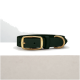 Ein dunkelgrüner Haustierhalsband mit einer goldenen Schnalle und Schlaufe, auf einer hellen Oberfläche vor einem schlichten Hintergrund.