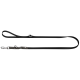 Schwarze Nylon-Hundeleine mit Schlaufenhandgriff, silbernem Drehkarabiner und D-Ring, kleinem Metallmarkenanhänger.