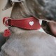 Nahaufnahme eines Hundes, der ein rotes Lederhalsband mit weißen Herzausschnitten und einem roten Herz-Identifikationsanhänger trägt