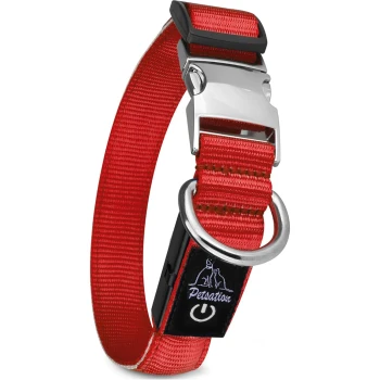 Leuchthalsband Hundehalsband rot S Rotes Haustierhalsband mit einer silbernen Schnalle und D-Ring, ausgestattet mit einem schwarzen Anhänger mit "Petsation"-Logo und Powersymbol.
